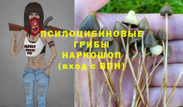 хмурый Балабаново