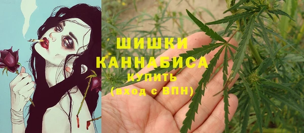 spice Баксан